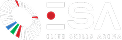 Elite Skills Arena